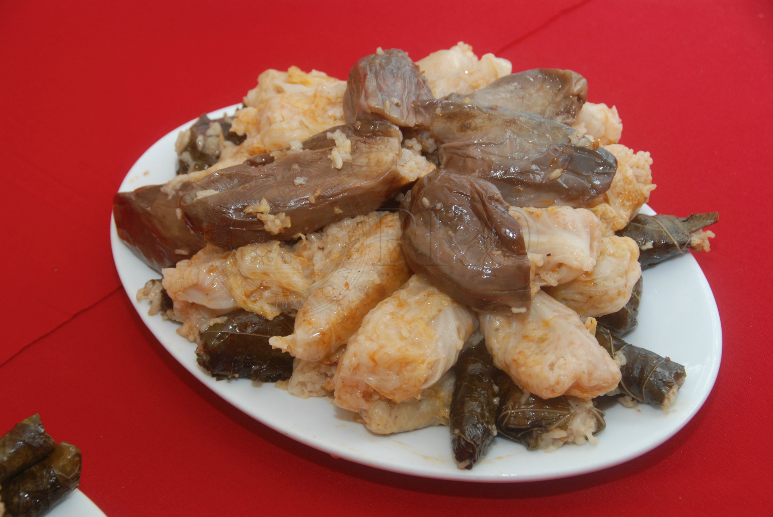 PRO 12 136 food DSC 9144